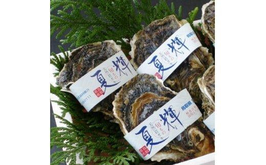 1014.鳥取県産　天然岩ガキ『夏輝』　特大サイズ3個（500g以上×3個） 牡蠣 カキ※着日指定不可※2025年6月上旬～8月中旬頃に順次発送予定