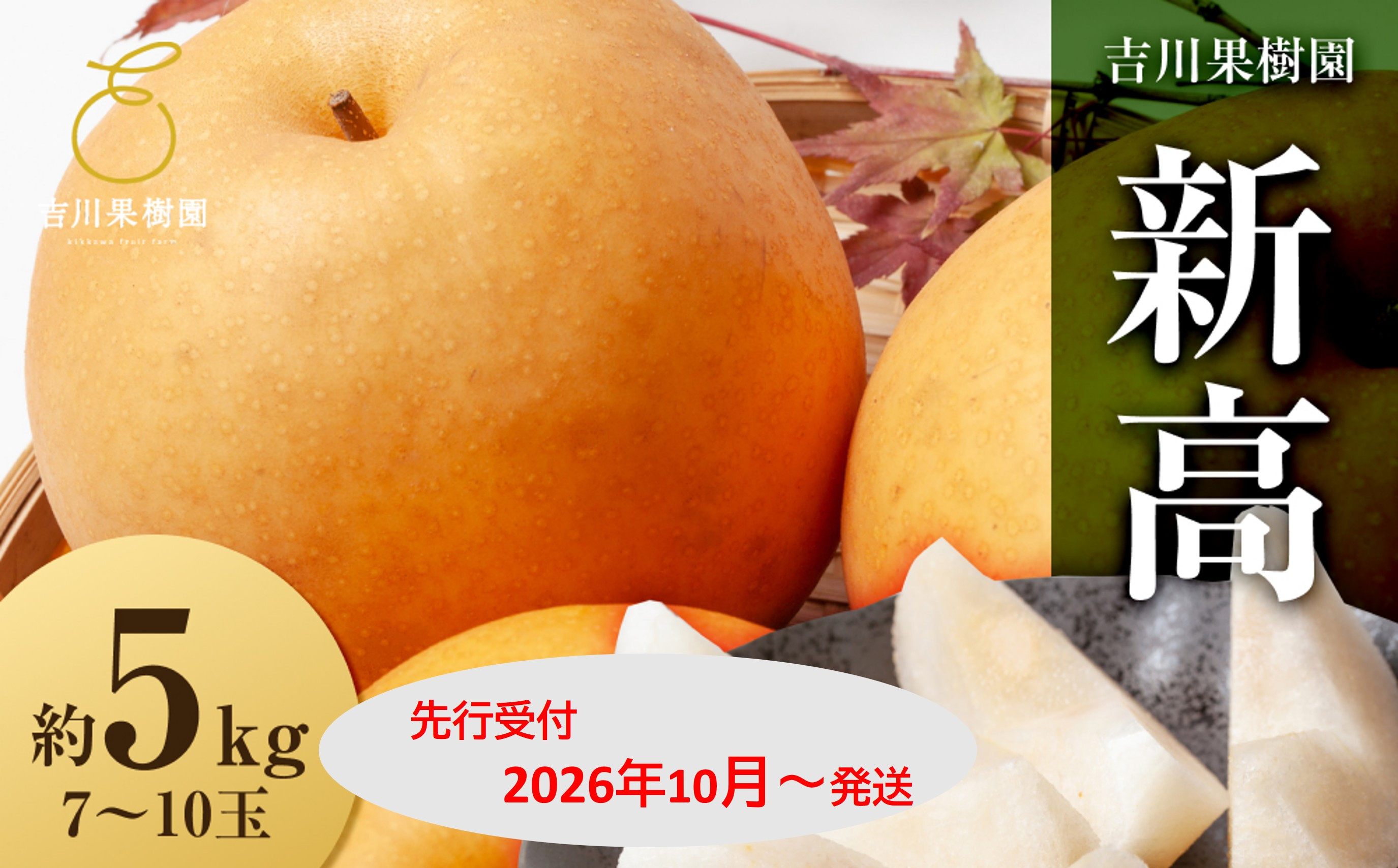 【2026年発送分先行予約】新高　約５kg（7～10玉）10月中旬～順次発送【吉川果樹園】
