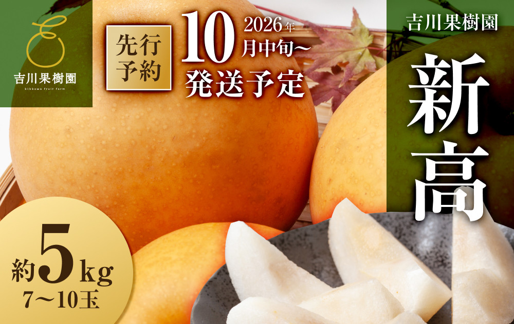 【2026年発送分先行予約】新高　約５kg（7～10玉）10月中旬～順次発送【吉川果樹園】