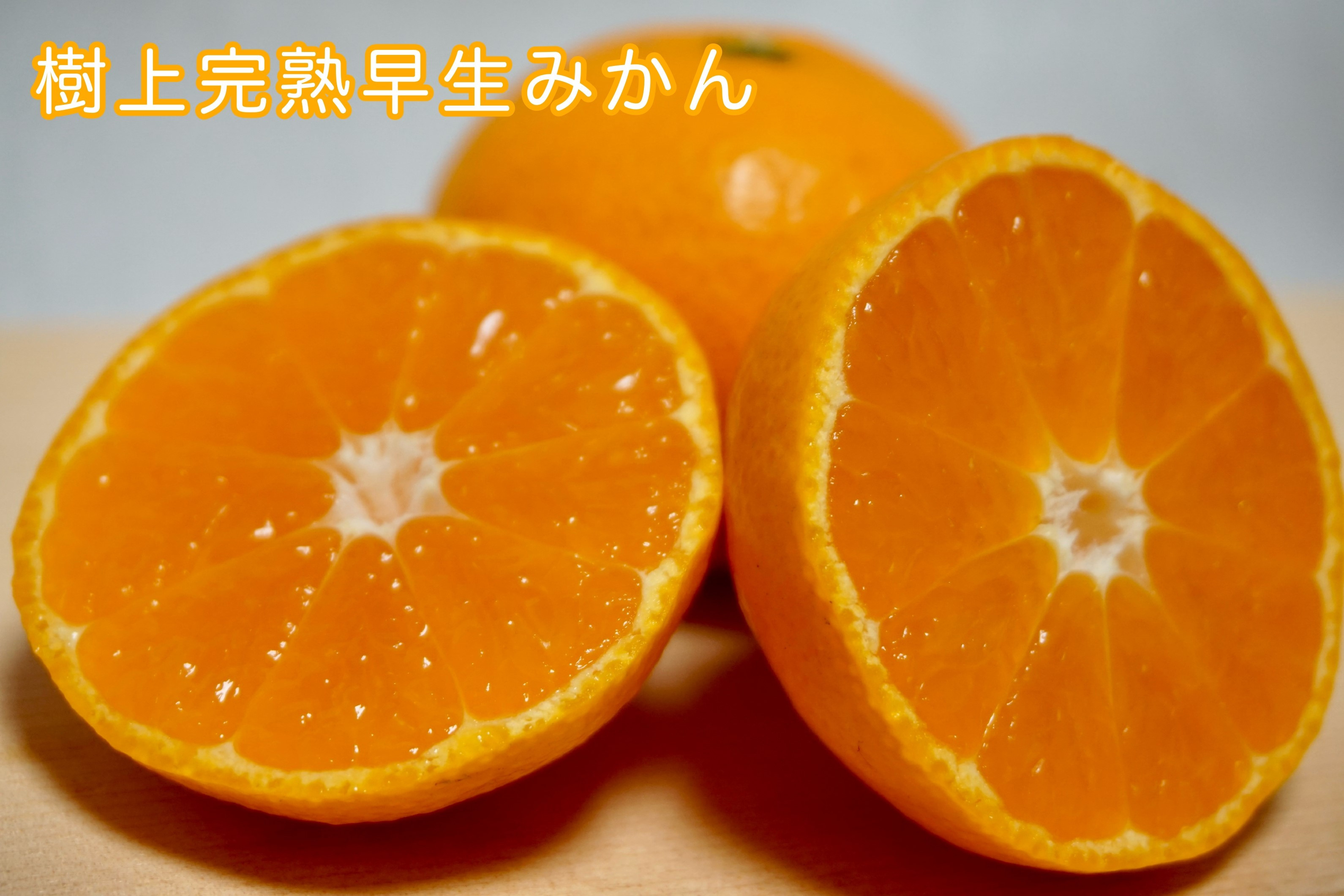 樹上完熟早生みかん&nbsp;約5kg&nbsp;サイズ混合&nbsp;山下農園