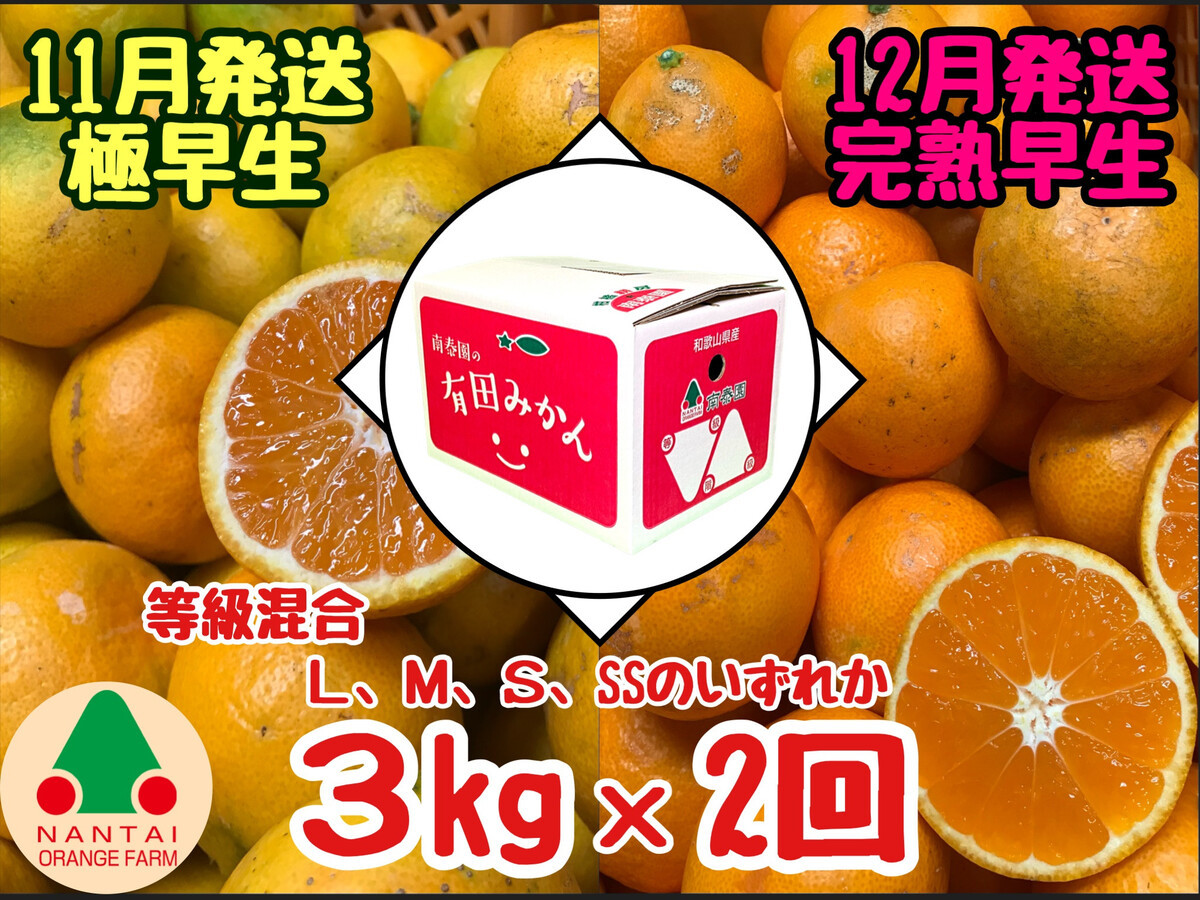 定期便&nbsp;11・12月発送&nbsp;有田みかん&nbsp;2種&nbsp;食べくらべ&nbsp;極早生&nbsp;＆&nbsp;完熟早生&nbsp;3kg&nbsp;和歌山&nbsp;みかん&nbsp;南泰園&nbsp;全2回