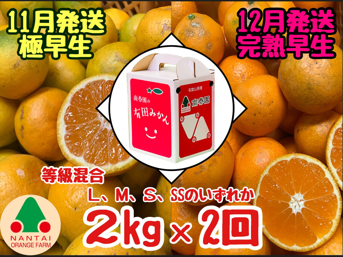 定期便&nbsp;11・12月発送&nbsp;有田みかん&nbsp;2種&nbsp;食べくらべ&nbsp;極早生&nbsp;＆&nbsp;完熟早生&nbsp;2kg&nbsp;和歌山&nbsp;みかん&nbsp;南泰園&nbsp;全2回