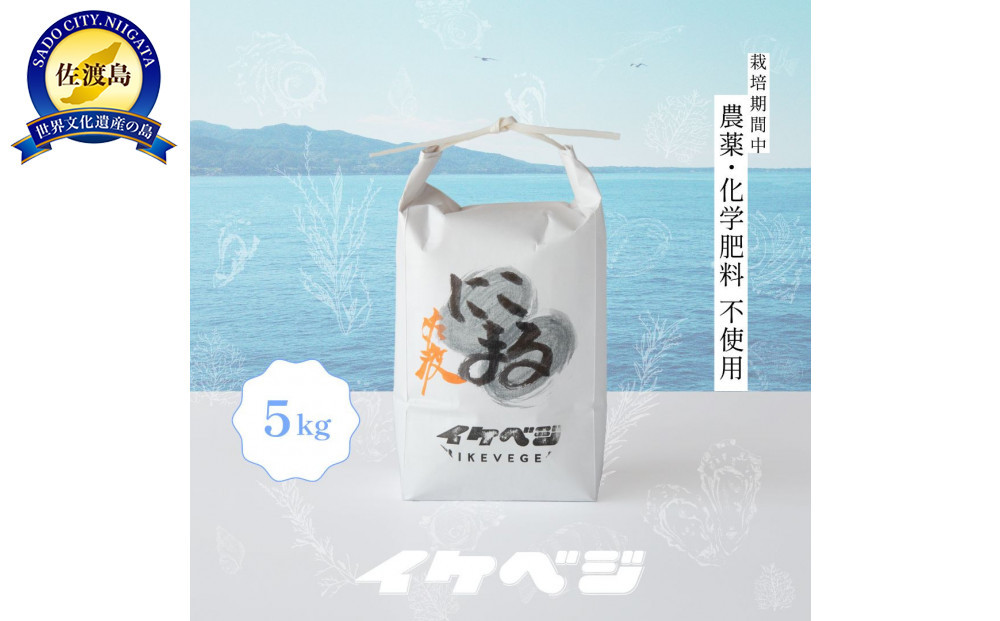 新潟県佐渡産&nbsp;令和7年産&nbsp;【にこまる】&nbsp;白米&nbsp;5kg