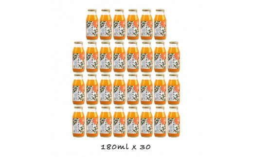 【定期便 3回】 小田原産江之浦みかん１００％ストレートジュース１８０ml３０本