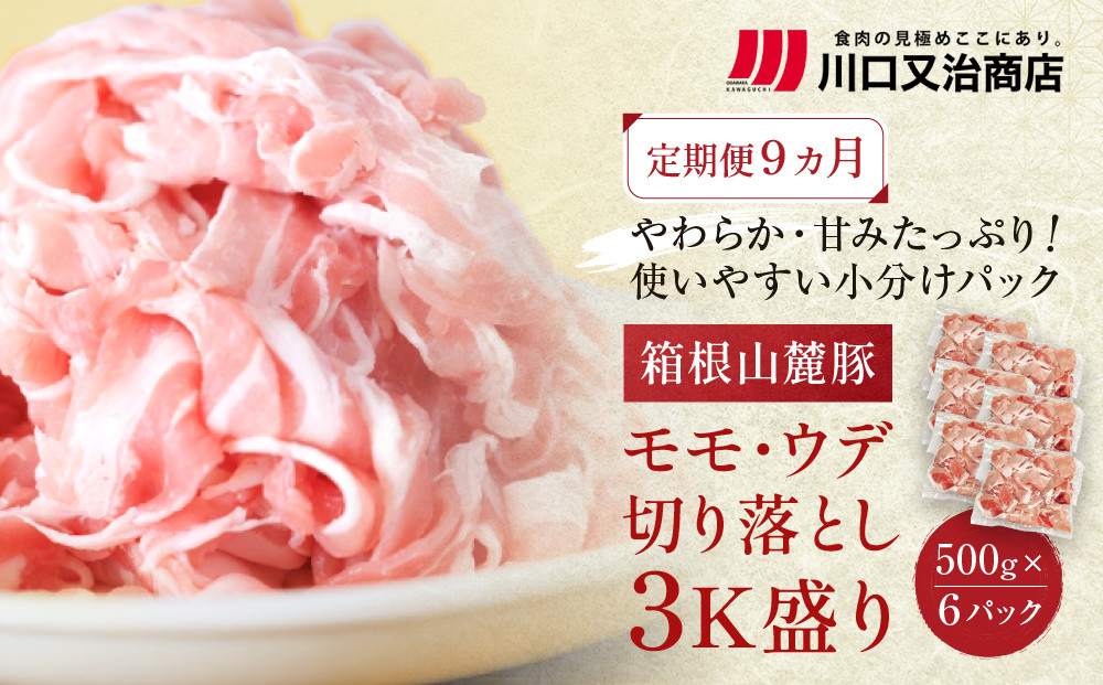 【定期便９ヵ月】箱根山麓豚　モモ・ウデ切り落とし３K盛り(500ｇ×６パック)【&nbsp;箱根山麓豚&nbsp;切り落とし&nbsp;神奈川県&nbsp;小田原市&nbsp;】