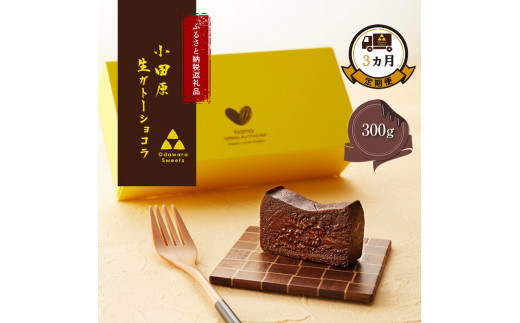 【定期便3ヶ月】幸せの生ガトーショコラ 300g【チョコレート 特濃厚 濃密な味わい 極上の口溶け 極上のチョコレート 一流の料理人 チョコレート本来の味わいと甘み カカオの風味やコク カカオ 至極の逸品 神奈川県 小田原市 】