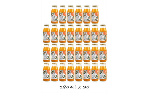 【定期便 （2カ月ごと全3回）】小田原産江之浦みかん１００％ストレートジュース１８０ml３０本
