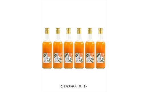 【定期便 （2カ月ごと全6回）】小田原産江之浦みかん１００％ストレートジュース５００ml６本