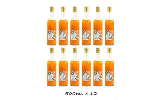 【定期便 9回】小田原産江之浦みかん１００％ストレートジュース５００ml１２本