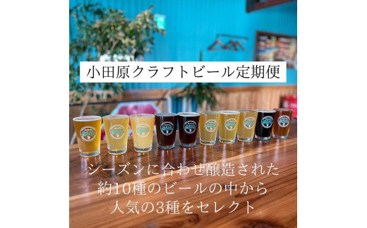 季節限定　小田原クラフトビール3種　【定期便：3カ月に1回&nbsp;計4回お届け】&nbsp;&nbsp;&nbsp;クラフトビール・地ビール【&nbsp;ビール&nbsp;お酒&nbsp;神奈川県&nbsp;小田原市&nbsp;】