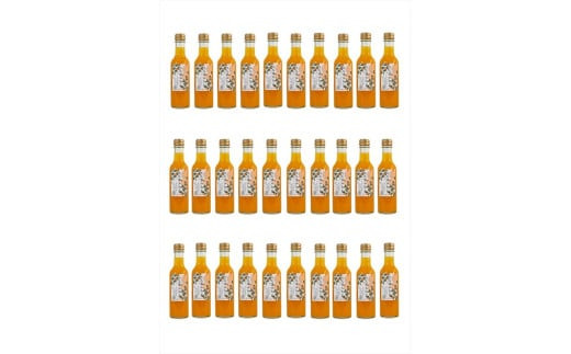 【定期便&nbsp;6回】&nbsp;小田原産江之浦みかんスパークリング果汁入り飲料果汁５０％２００ml３０本