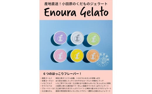 【定期便&nbsp;3回】小田原産江之浦ジェラート６種（みかん、湘南ゴールド、ブルーベリーミルク、いちごミルク、キウイヨーグルト、甘夏ヨーグルト）120mlカップ各１個合計６個