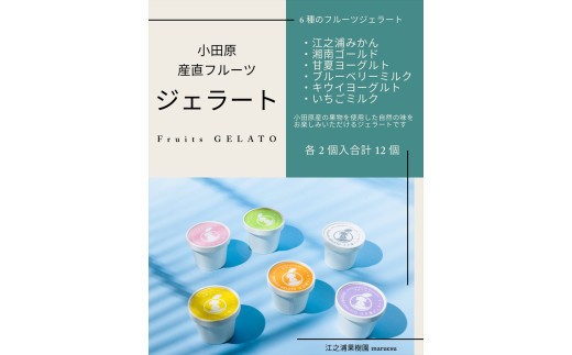 【定期便&nbsp;3回】&nbsp;小田原産江之浦ジェラート６種（みかん、湘南ゴールド、ブルーベリーミルク、いちごミルク、キウイヨーグルト、甘夏ヨーグルト）120mlカップ各２個合計１２個