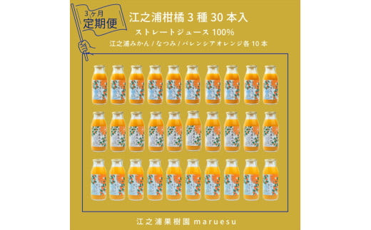 【定期便&nbsp;3回】&nbsp;小田原産江之浦みかんジュース３種のみくらべ３０本セット&nbsp;うんしゅう・なつみ・バレンシアオレンジ１００％ストレートジュース１８０ml各１０本合計３０本