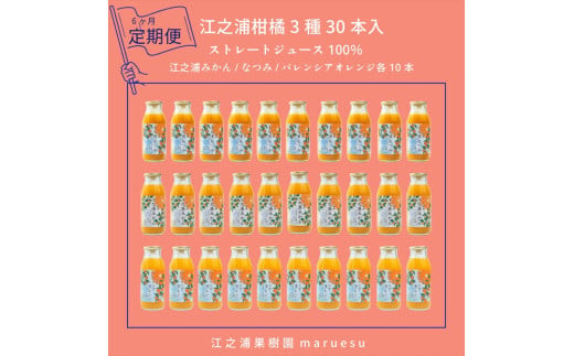 【定期便&nbsp;6回】&nbsp;小田原産江之浦みかんジュース３種のみくらべ３０本セット&nbsp;うんしゅう・なつみ・バレンシアオレンジ１００％ストレートジュース１８０ml各１０本合計３０本