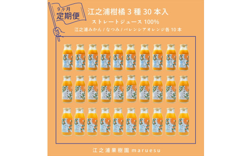 【定期便&nbsp;9回】&nbsp;小田原産江之浦みかんジュース３種のみくらべ３０本セット&nbsp;うんしゅう・なつみ・バレンシアオレンジ１００％ストレートジュース１８０ml各１０本合計３０本