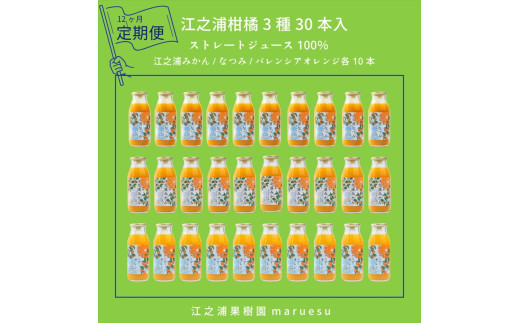 【定期便&nbsp;12回】&nbsp;小田原産江之浦みかんジュース３種のみくらべ３０本セット&nbsp;うんしゅう・なつみ・バレンシアオレンジ１００％ストレートジュース１８０ml各１０本合計３０本