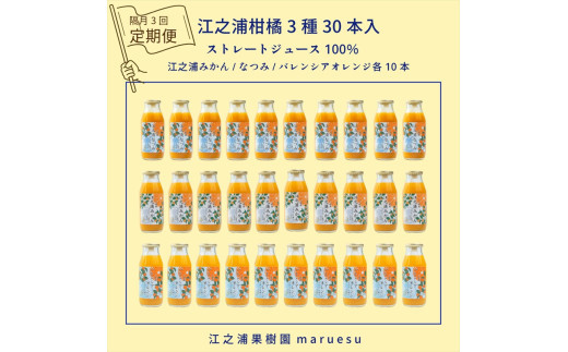 【定期便（2カ月ごと全3回）】&nbsp;小田原産江之浦みかんジュース３種のみくらべ３０本セット&nbsp;うんしゅう・なつみ・バレンシアオレンジ１００％ストレートジュース１８０ml各１０本合計３０本
