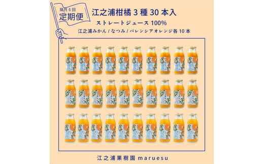 【定期便（2カ月ごと全6回）】&nbsp;小田原産江之浦みかんジュース３種のみくらべ３０本セット&nbsp;うんしゅう・なつみ・バレンシアオレンジ１００％ストレートジュース１８０ml各１０本合計３０本