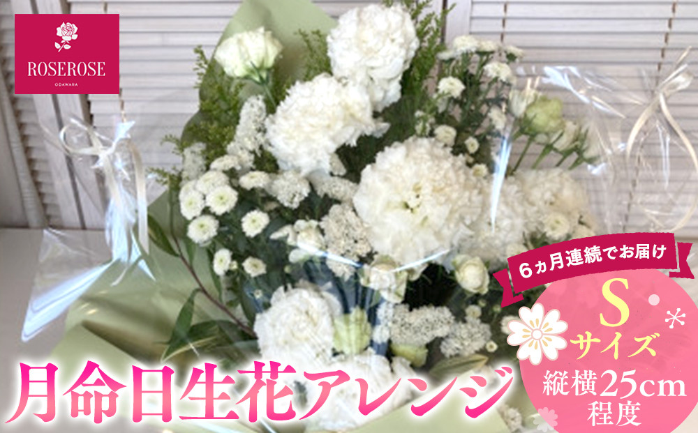【定期便６ヵ月】月命日生花アレンジ　Sサイズ　６ヵ月連続でお届け【&nbsp;神奈川県&nbsp;小田原市&nbsp;】