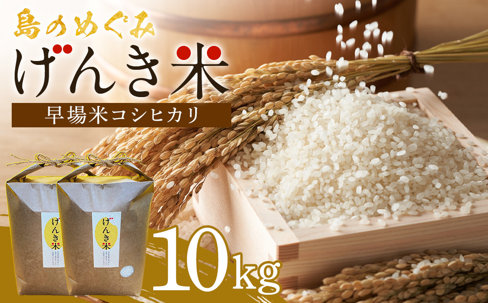 島のめぐみ げんき米 (早場米 コシヒカリ) 10kg (5kg×2袋) | 令和7年産 米 お米 白米 精米 ライス 早場米 コシヒカリ 種子島 種子島産 鹿児島県