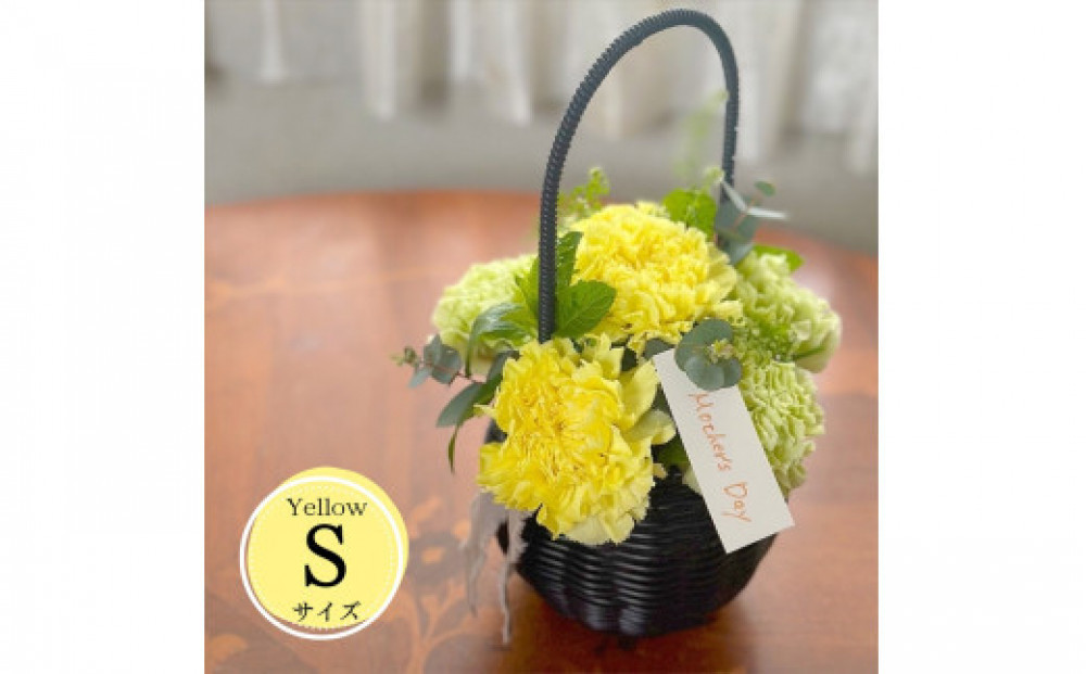 《母の日限定》カーネーションのバスケットアレンジメント(Sサイズ)イエロー系＜出荷時期：2026年5月6日～5月9日＞