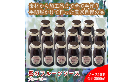 スイスで加工品を学んだ農家が手間暇かけた『手づくりジャムソース【ブルーベリー】』16本セット【 家庭用 自宅用 贈答品 贈答用 ギフト お取り寄せ お中元 お歳暮 贈り物 お祝い 神奈川県 小田原市 】