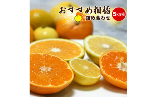 【先行予約】2月おすすめ柑橘詰め合わせ５kg箱＜出荷開始：2026年2月5日~2月25日＞【 フルーツ 神奈川県 小田原市 】