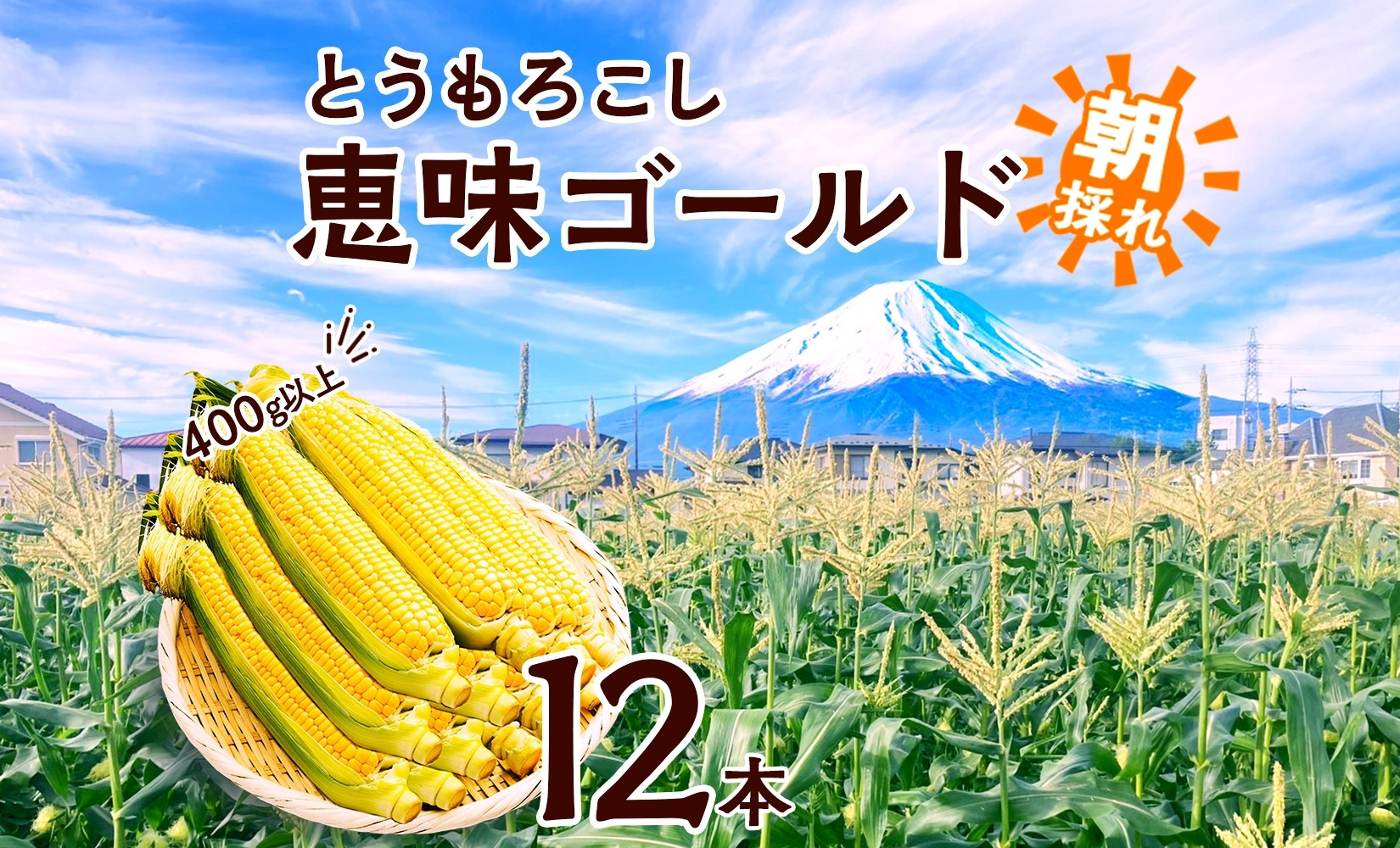 【2026年先行予約】とうもろこし&nbsp;恵味&nbsp;ゴールド&nbsp;400g以上×12本&nbsp;計4.8kg以上&nbsp;高糖度&nbsp;トウモロコシ&nbsp;スイートコーン&nbsp;玉蜀黍&nbsp;イエローコーン&nbsp;黄&nbsp;夏野菜&nbsp;甘い&nbsp;ジューシー&nbsp;野菜&nbsp;おやつ&nbsp;旬&nbsp;産地直送&nbsp;送料無料&nbsp;湖南野菜出荷組合&nbsp;山梨県&nbsp;富士河口湖町