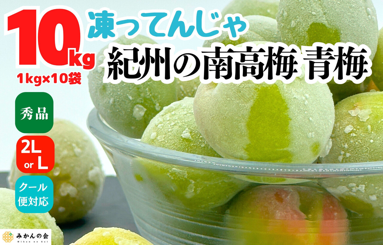【2025年7月上旬～出荷予定】梅 冷凍 青梅 南高梅 10kg ( 1kg × 10袋) 秀品 2L or Lサイズ 和歌山県産 紀州有田 【みかんの会】