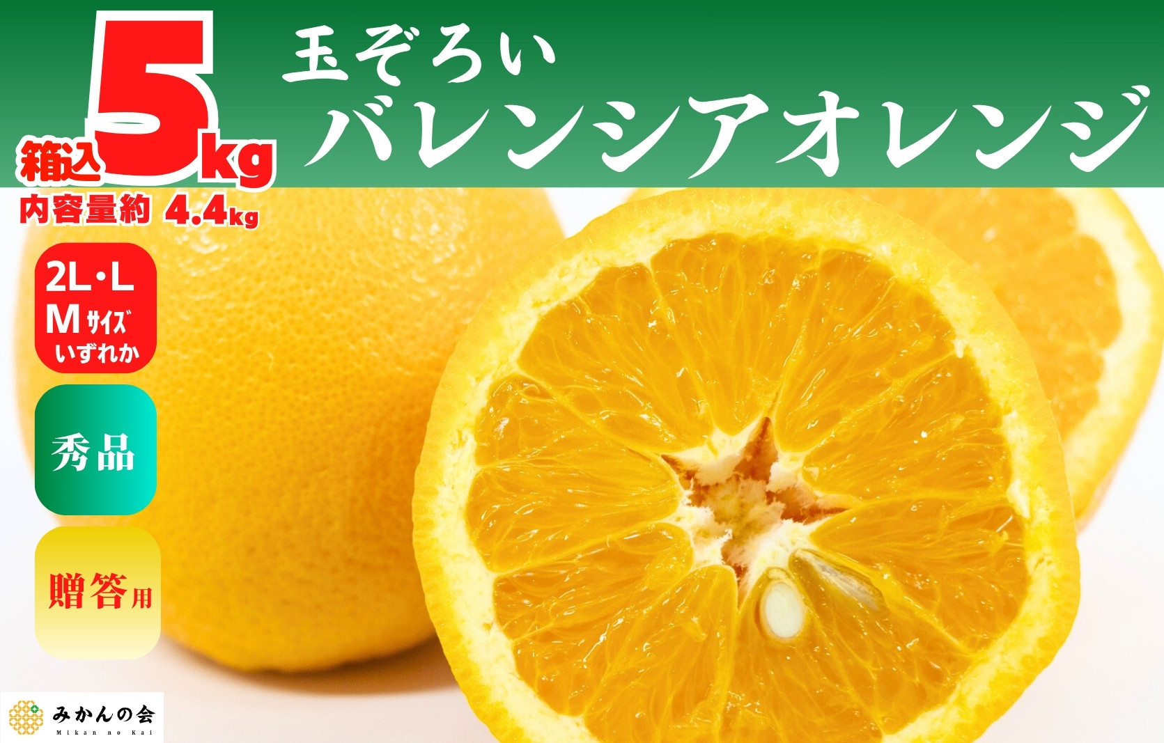 バレンシアオレンジ 国産 玉ぞろい 秀品 箱込 5kg (内容量 4.4kg ) 2L L M サイズのいずれか 和歌山県産 産地直送【みかんの会】
