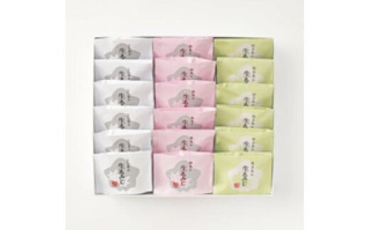 にしき堂 生もみじ 18個入詰合わせ | JTBのふるさと納税サイト [ふるぽ]