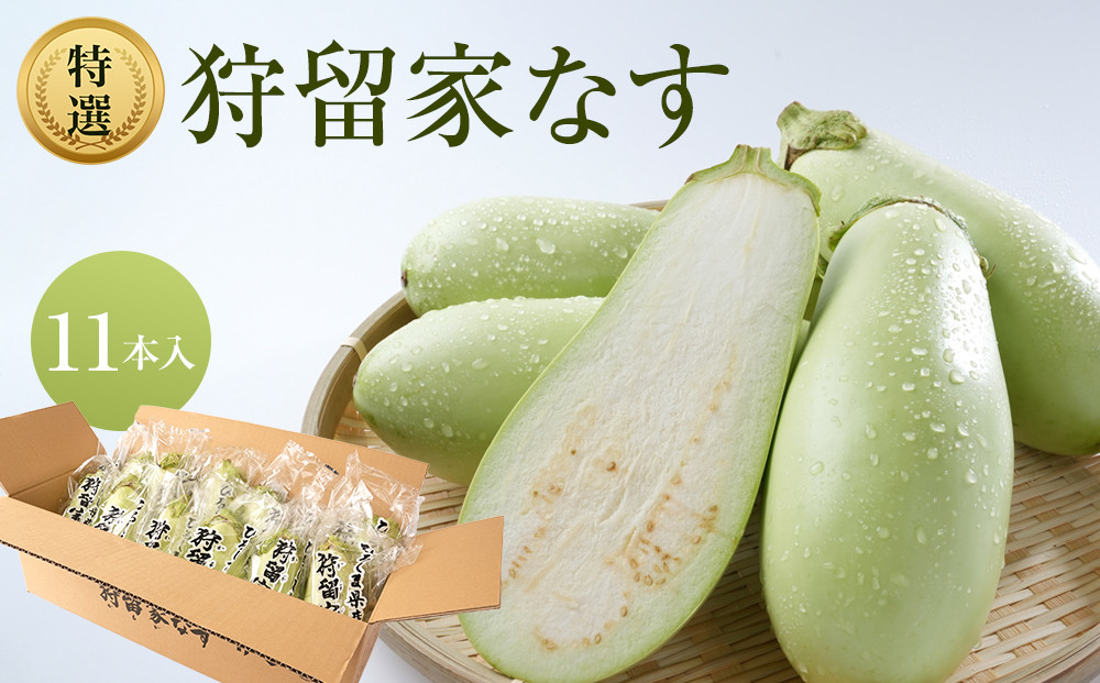 【先行予約】狩留家なす&nbsp;11本&nbsp;≪2026年7月～発送開始≫