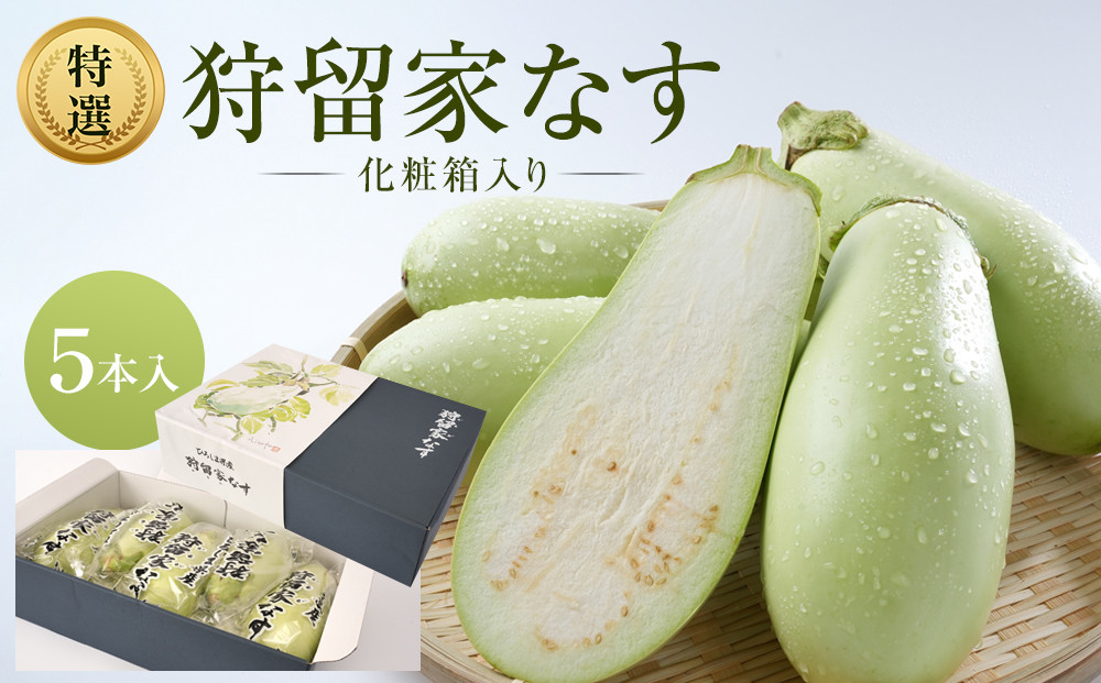 【先行予約】狩留家なす5本入(化粧箱入)&nbsp;≪2026年7月～発送開始≫