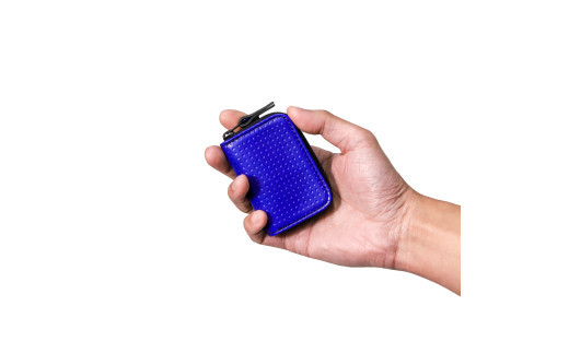 ＼年内発送／スマートキーケースS/ ブルー M131S