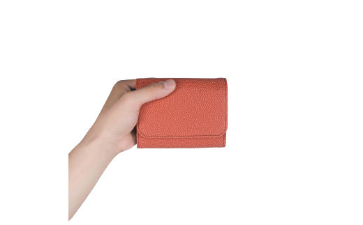 ＼年内発送／はちのす カードケース/ ブラウン M069