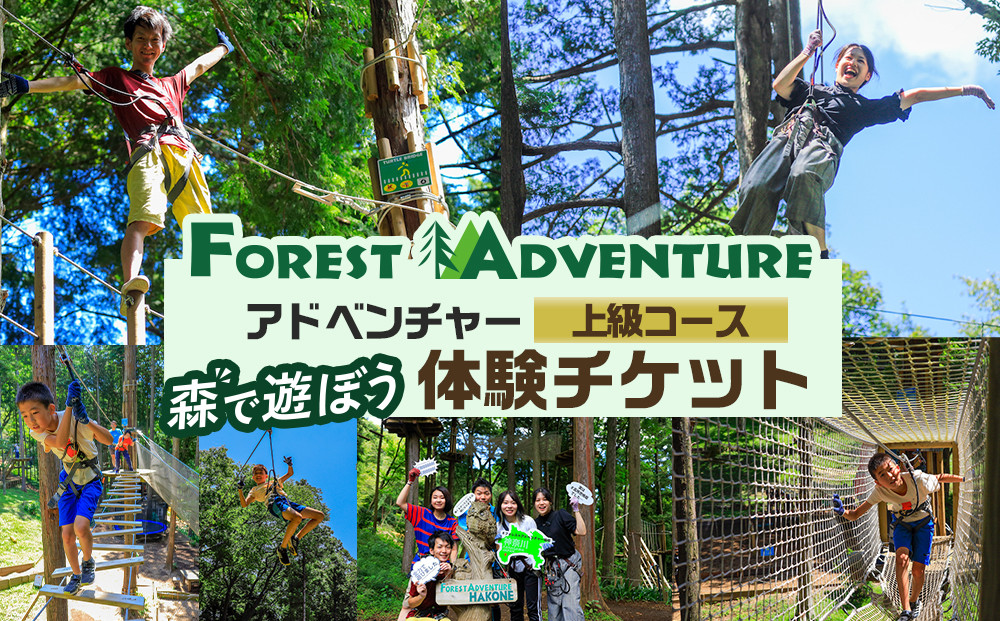 アドベンチャーコース体験チケット(上級コース)