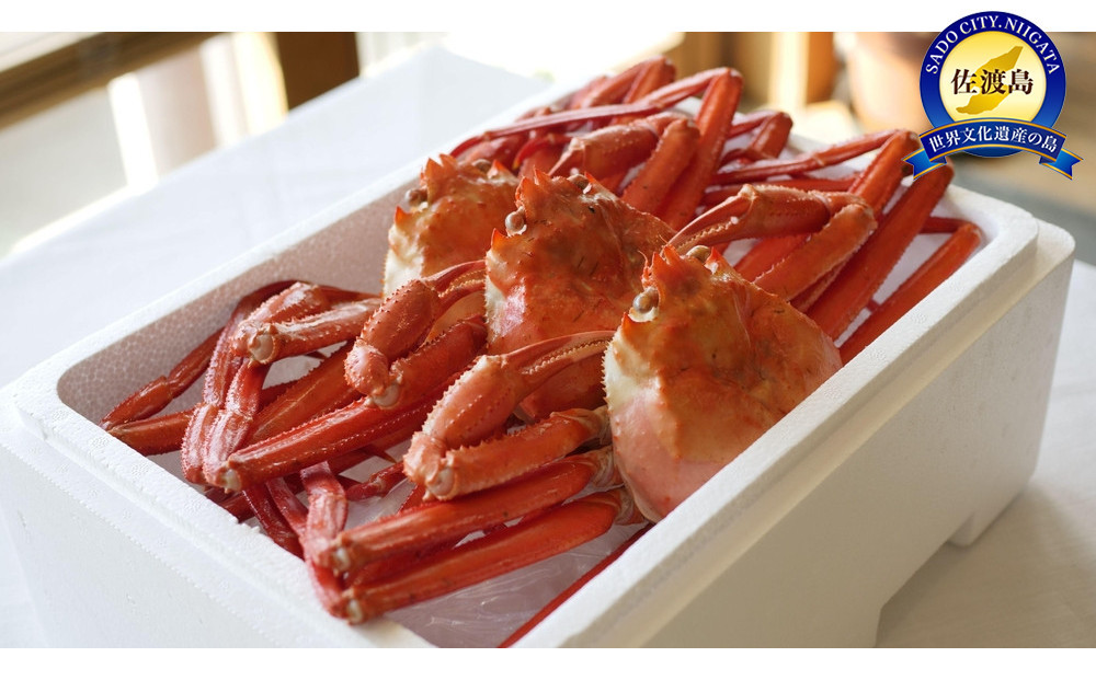 【2025年9月先行受付】『冷凍』佐渡島直送！浜茹で紅ズワイガニ（1杯400ｇ/3杯）ふるさと納税