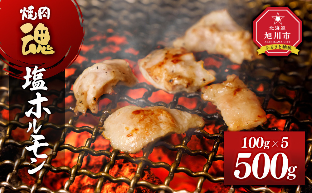 焼肉　魂　塩ホルモン100g×5 【 お肉 焼肉 焼き肉 やきにく タレ 漬け 付き 味付き にく 小分け 個包装 冷凍 BBQ アウトドア キャンプ 人気 北海道 簡単調理 焼くだけ お取り寄せ 旭川市 北海道 】_04954