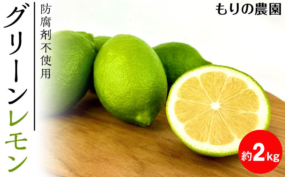 【レモン島から贈る】安心の国産グリーンレモン2kg&nbsp;2025年10月下旬より発送予定【柑橘&nbsp;果物&nbsp;フルーツ人気&nbsp;おすすめ&nbsp;瀬戸内&nbsp;広島県&nbsp;&nbsp;尾道市】