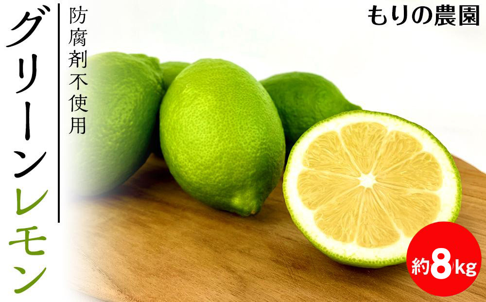 【レモン島から贈る】安心の国産グリーンレモン8kg&nbsp;2025年10月下旬より発送予定【柑橘&nbsp;果物&nbsp;フルーツ人気&nbsp;おすすめ&nbsp;瀬戸内&nbsp;広島県&nbsp;&nbsp;尾道市】