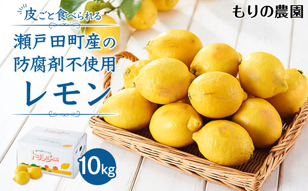 【レモン島から贈る】安心の国産レモン10kg 2026年1月15日より順次発送【瀬戸田 瀬戸田レモン 産地直送 フルーツ 檸檬 ノーワックス 防腐剤 防かび剤不使用】