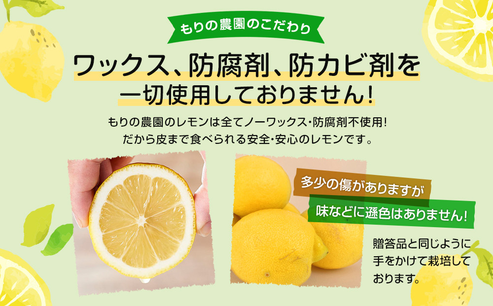 レモン島から贈る】安心の国産レモン10kg 2027年2月〜順次発送【瀬戸田