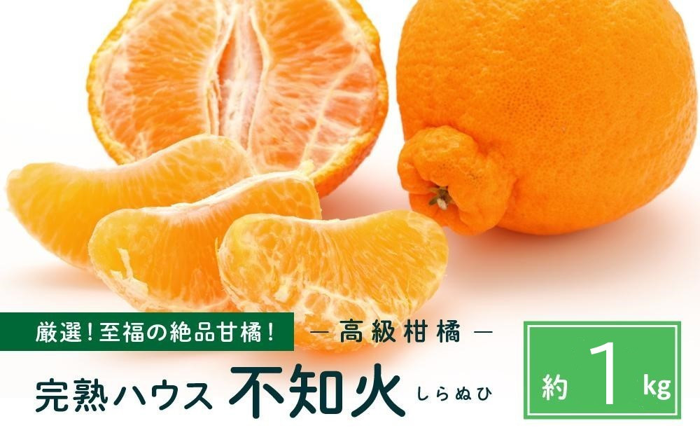 越冬完熟しらぬひ&nbsp;1kg&nbsp;2027年3月上旬～発送予定【みかん&nbsp;不知火&nbsp;しらぬい&nbsp;柑橘&nbsp;果物&nbsp;フルーツ&nbsp;産地直送&nbsp;人気&nbsp;おすすめ&nbsp;瀬戸内&nbsp;広島県&nbsp;&nbsp;尾道市】
