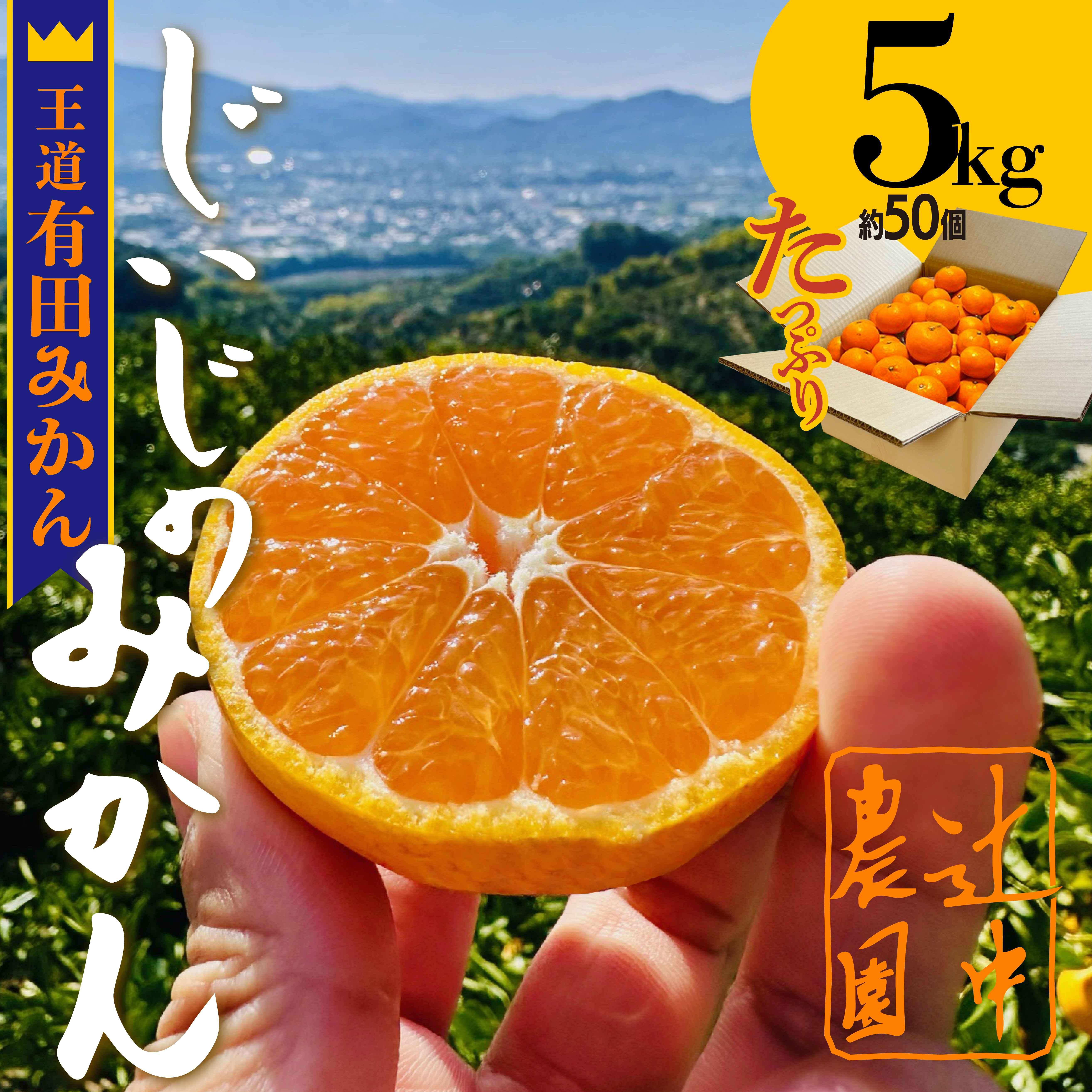 和歌山県有田みかん&nbsp;じぃじのみかん&nbsp;約5kg