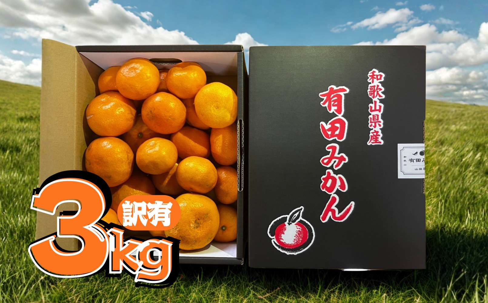 【訳あり】有田みかん&nbsp;約3kg&nbsp;家庭用