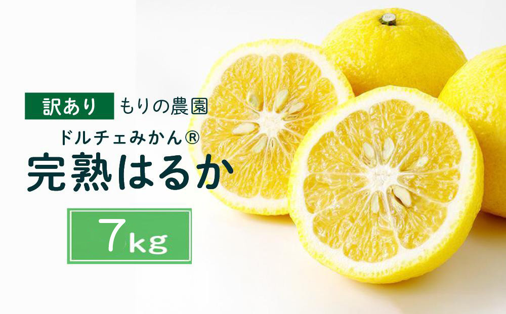 【訳あり】完熟はるか&nbsp;7kg&nbsp;ドルチェみかん&nbsp;2026年2月中旬より発送予定