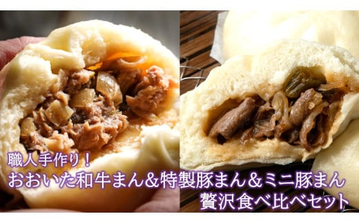 職人手作りの「おおいた和牛まん&特製豚まん&ミニ豚まん&nbsp;贅沢食べ比べセット」_2564R