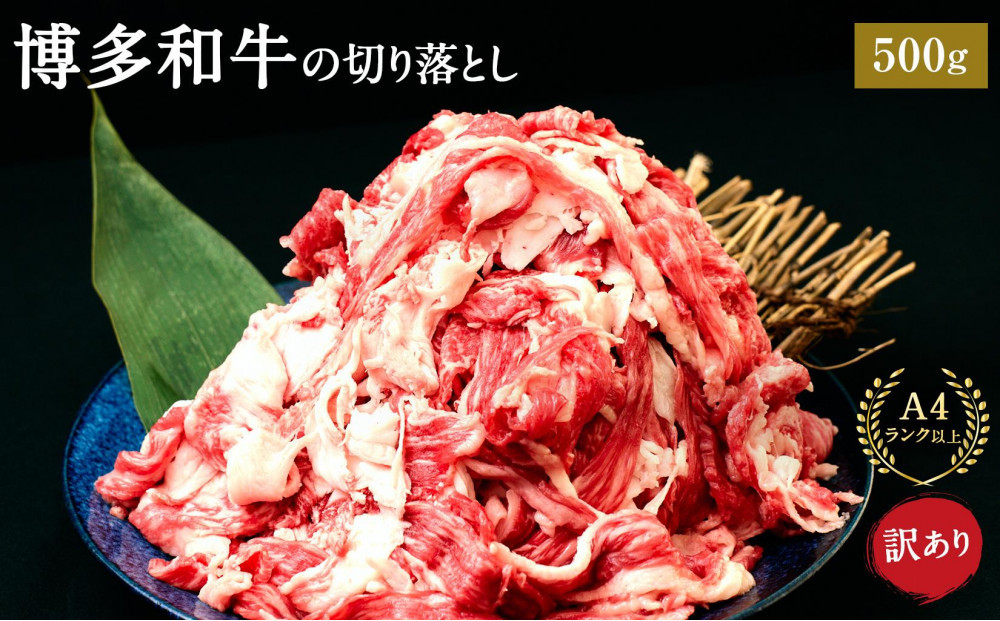 訳あり&nbsp;博多和牛&nbsp;切り落とし&nbsp;500g&nbsp;(&nbsp;500g×1パック&nbsp;)&nbsp;|&nbsp;牛肉&nbsp;和牛&nbsp;お肉&nbsp;肉&nbsp;小分け&nbsp;切り落とし&nbsp;切落し&nbsp;不揃い&nbsp;0.5kg&nbsp;0.5キロ&nbsp;肉じゃが&nbsp;牛丼&nbsp;野菜炒め&nbsp;ブランド牛&nbsp;お取り寄せ&nbsp;高級&nbsp;グルメ&nbsp;10000円以下&nbsp;1万円以下