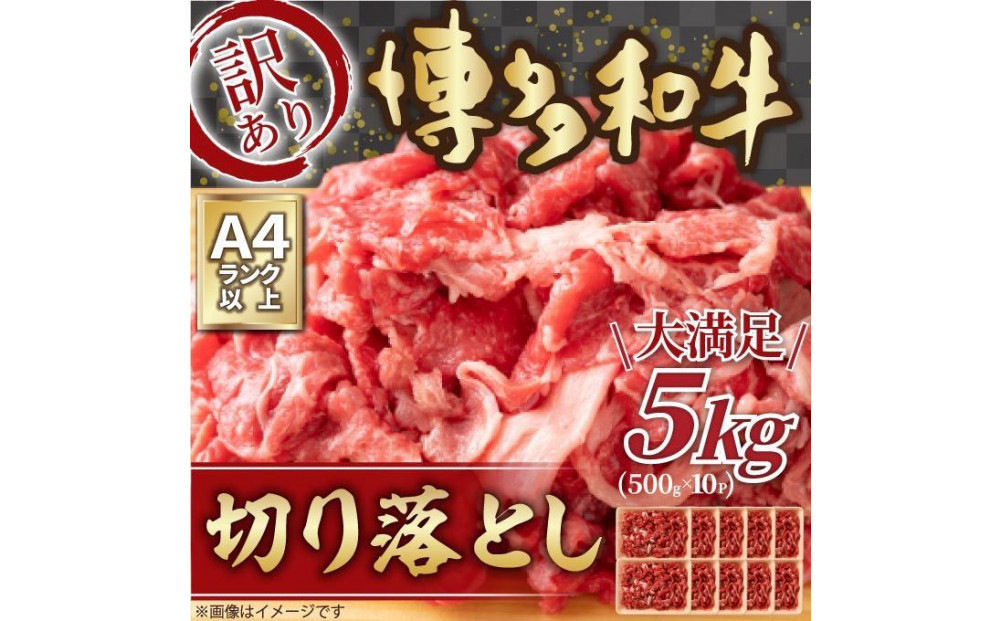 訳あり&nbsp;博多和牛&nbsp;切り落とし&nbsp;5kg&nbsp;(&nbsp;500g×10パック&nbsp;)&nbsp;|&nbsp;牛肉&nbsp;和牛&nbsp;小分け&nbsp;切り落とし&nbsp;切落し&nbsp;不揃い&nbsp;5000g&nbsp;5キロ&nbsp;肉じゃが&nbsp;牛丼&nbsp;野菜炒め&nbsp;ブランド牛&nbsp;お取り寄せ&nbsp;高級&nbsp;グルメ